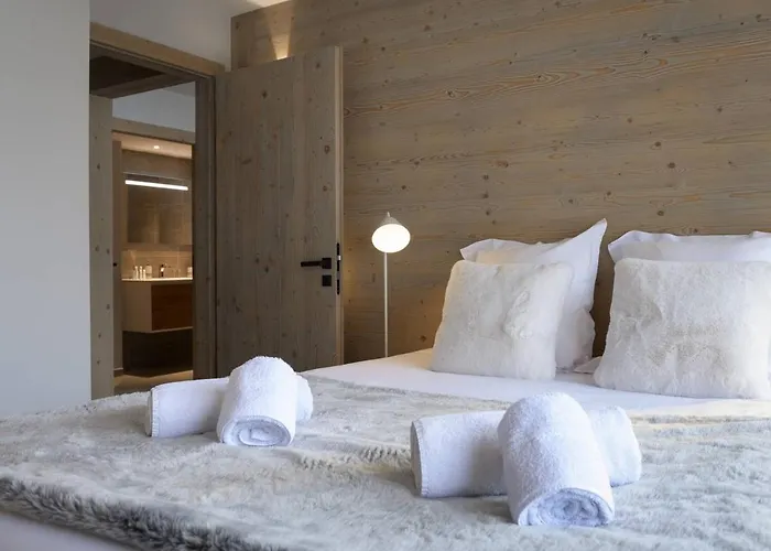 Moderne 1550, 8 Pers, Proximite Pistes - Fr-1-631-104 * Courchevel